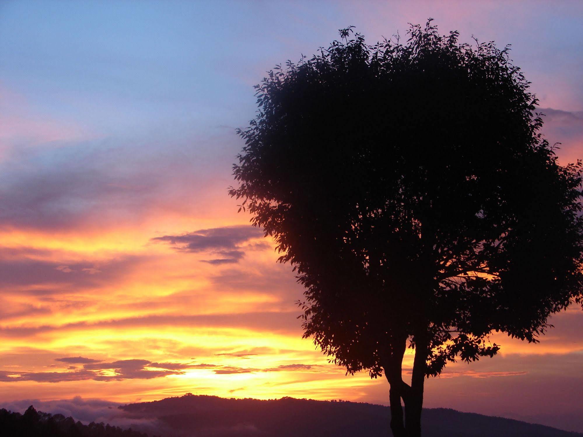 Blusalzz Escapade Anant Rasa Resort - Ranikhet Shitlakhet Экстерьер фото